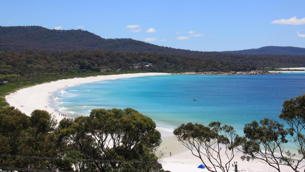 Sea Eagle Cottage Amazing Views Of Bay Of Fires Binalong Bay Eksteriør billede
