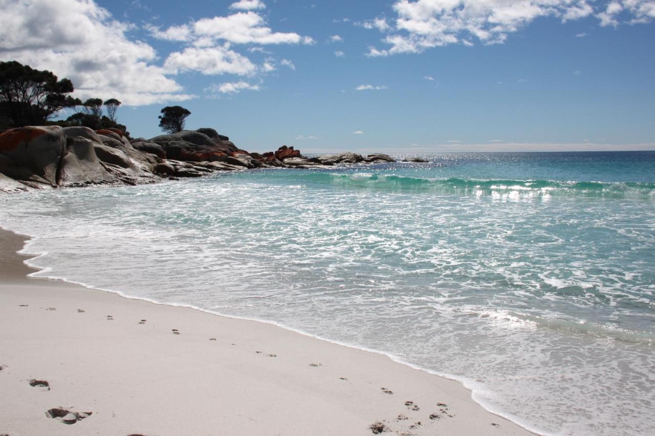 Sea Eagle Cottage Amazing Views Of Bay Of Fires Binalong Bay Eksteriør billede